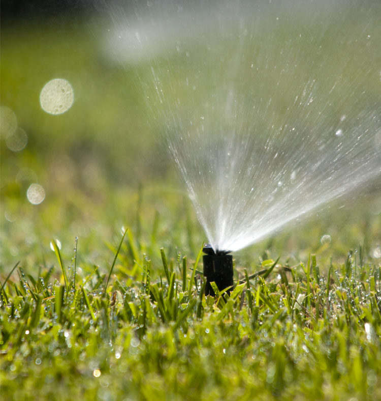 Pulverizadores e Aspersores - Rega